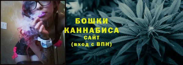 хмурый Каменка