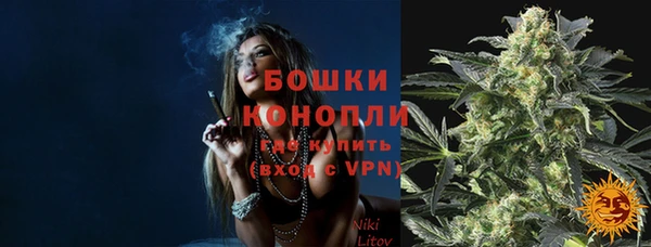 дживик Касимов