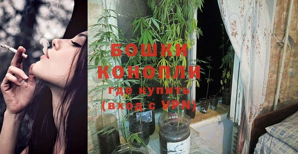 дживик Касимов