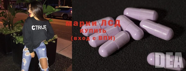хмурый Каменка