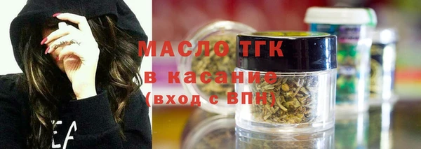 хмурый Каменка