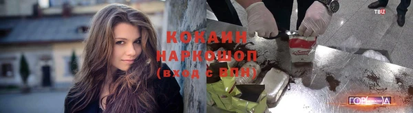 дживик Касимов