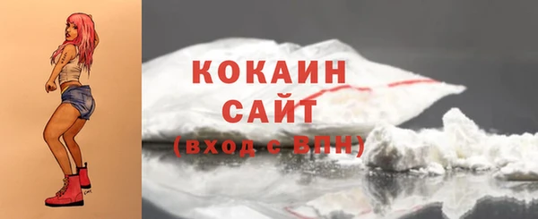хмурый Каменка