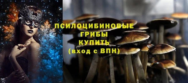 хмурый Каменка
