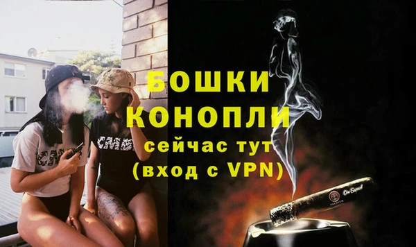 дживик Касимов