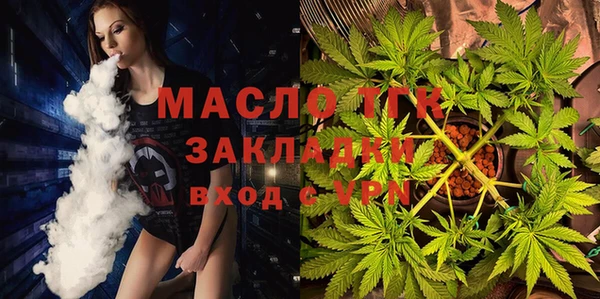 хмурый Каменка