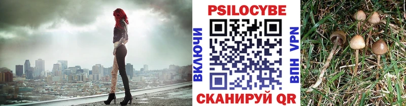 что такое наркотик  Сызрань  Галлюциногенные грибы мицелий 