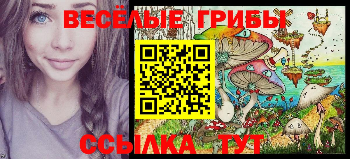 Сызрань  Галлюциногенные грибы Cubensis  Вход с VPN  Галлюциногенные грибы мухоморы 