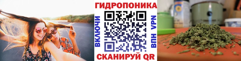 Бошки Шишки MAZAR  Сызрань 